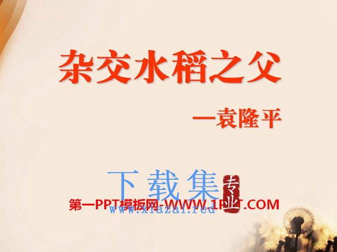 《杂交水稻之父--袁隆平》PPT课件