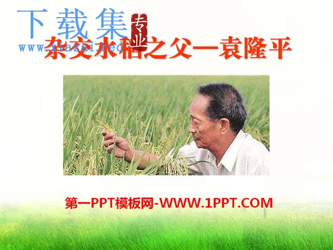 《杂交水稻之父--袁隆平》PPT课件2