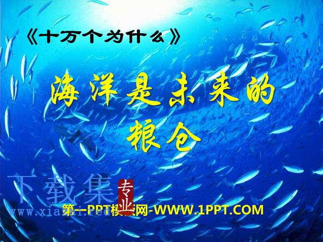 《海洋是未来的粮仓》PPT课件2