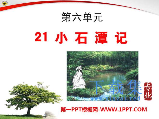 《小石潭记》PPT课件14