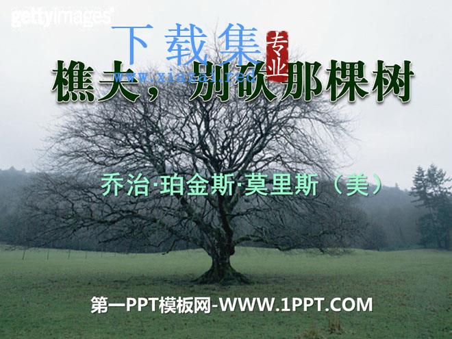 《樵夫-别砍那棵树》PPT课件