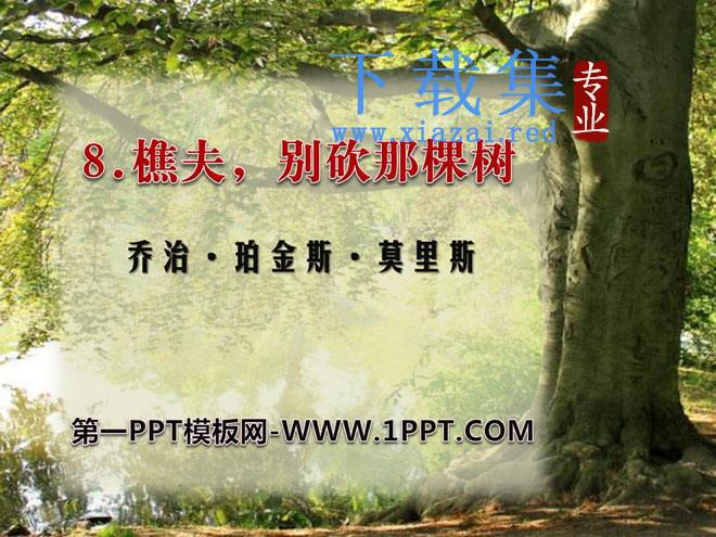 《樵夫-别砍那棵树》PPT课件2