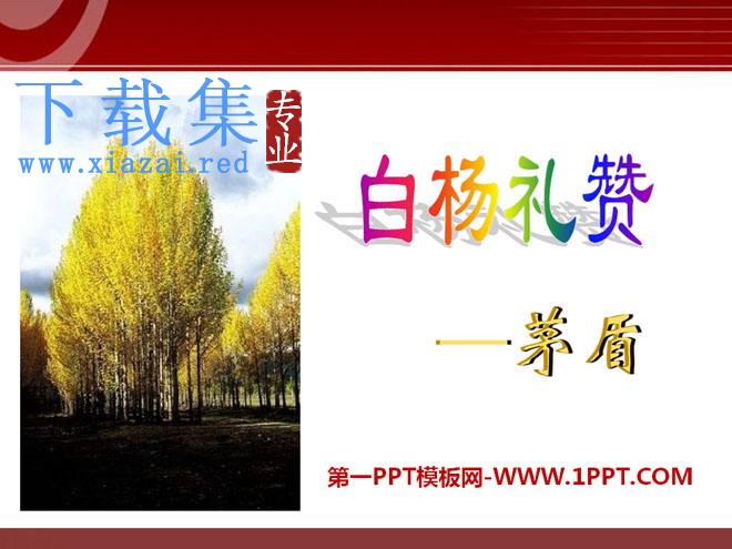 《白杨礼赞》PPT课件9