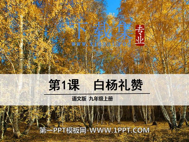 《白杨礼赞》PPT课件10