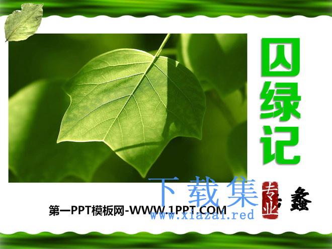 《囚绿记》PPT课件7
