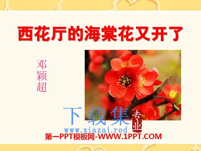 《西花厅的海棠花又开了》PPT课件3