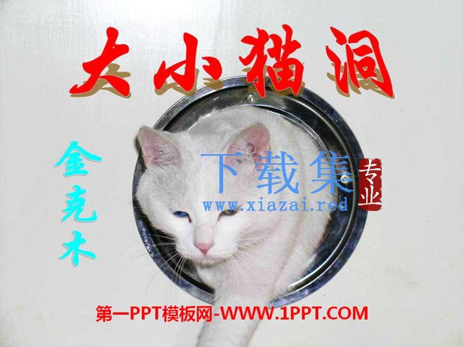 《大小猫洞》PPT课件