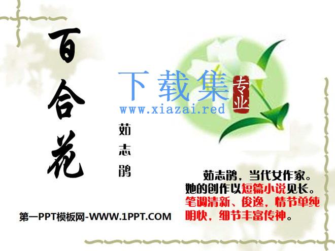 《百合花》PPT课件2