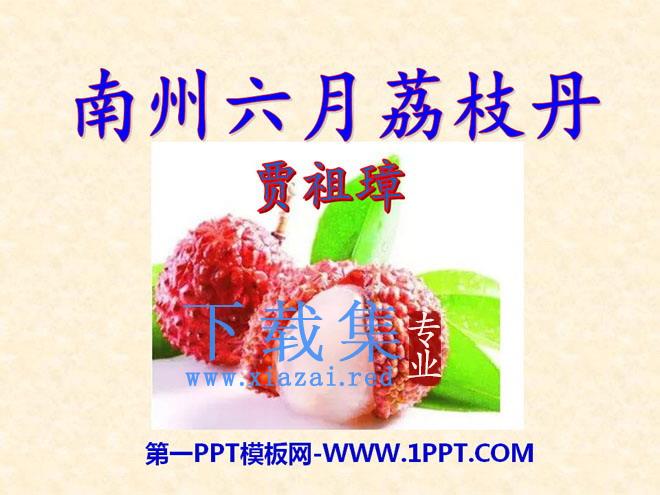 《南州六月荔枝丹》PPT课件