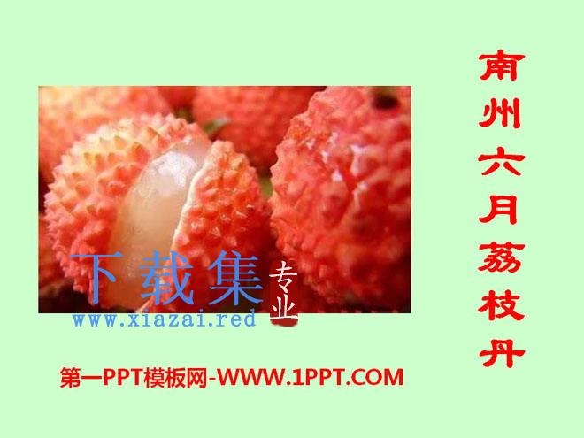 《南州六月荔枝丹》PPT课件2
