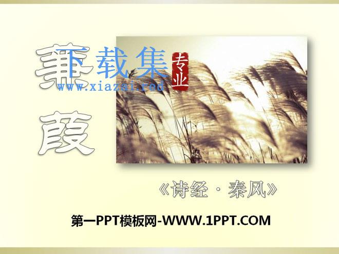 《蒹葭》PPT课件8
