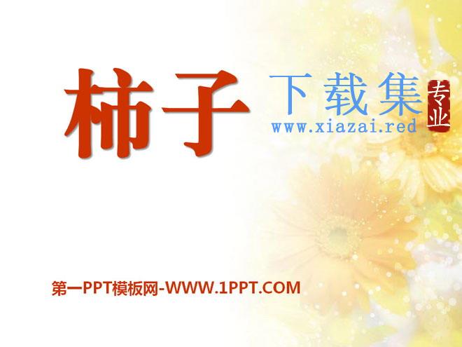 《柿子》PPT课件2