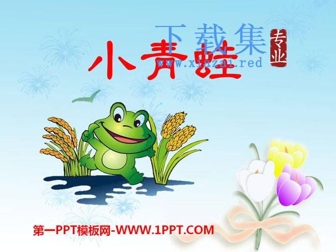 《小青蛙》PPT课件2