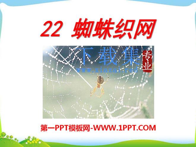 《蜘蛛织网》PPT课件2