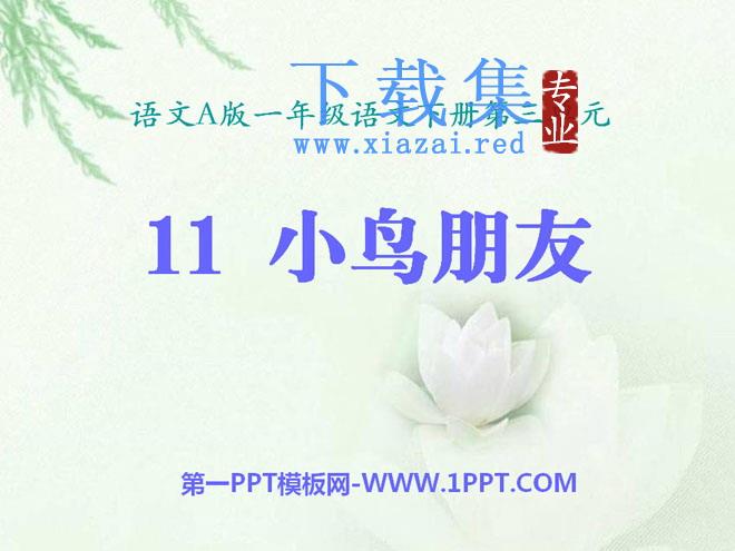 《小鸟朋友》PPT课件2