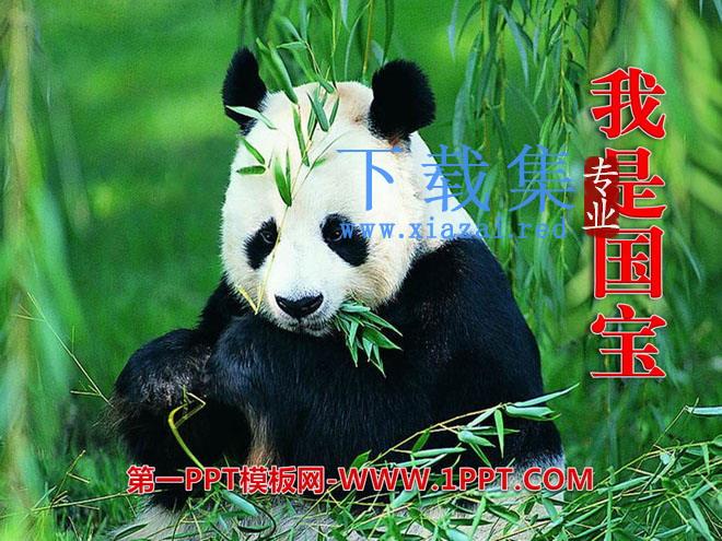 《我是国宝》PPT课件2