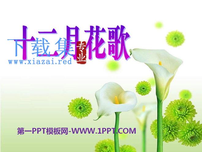 《十二月花歌》PPT课件