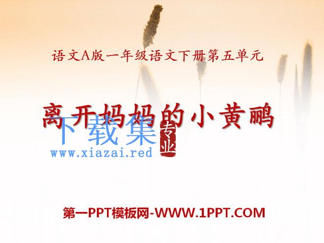 《离开妈妈的小黄鹂》PPT课件