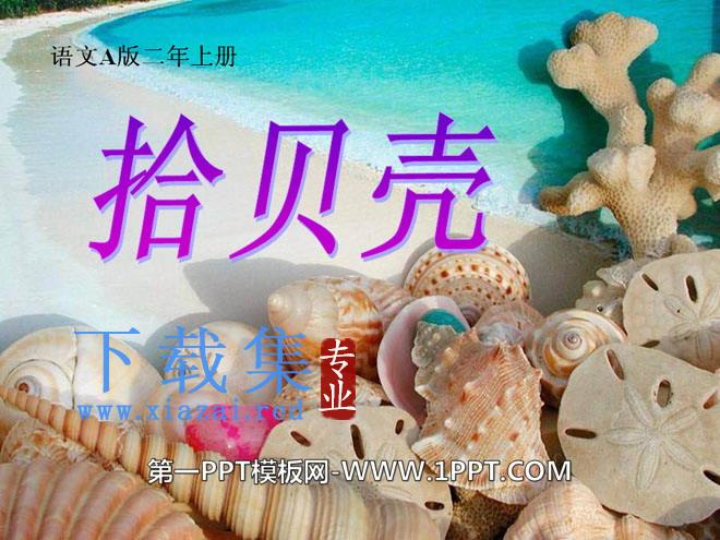 《拾贝壳》PPT课件