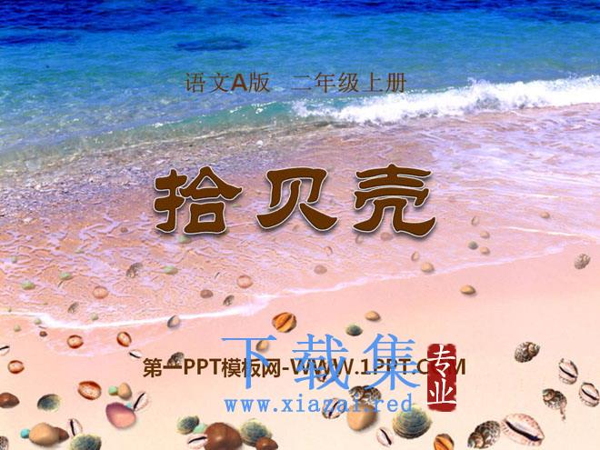 《拾贝壳》PPT课件2