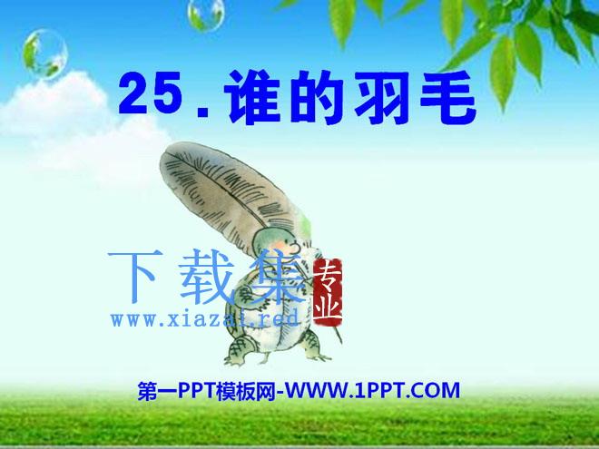 《谁的羽毛》PPT课件2