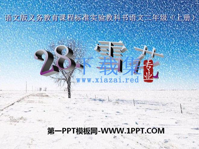 《雪花》PPT课件