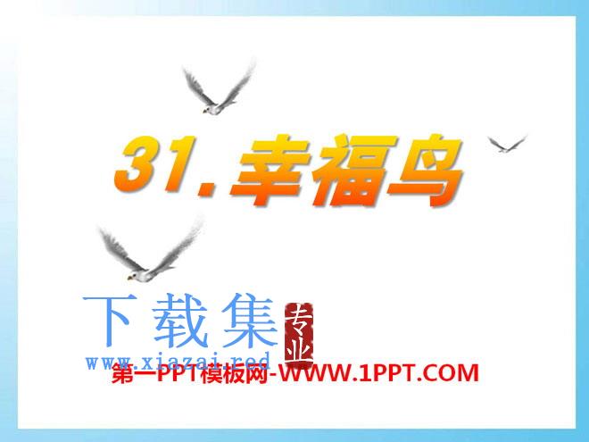 《幸福鸟》PPT课件4