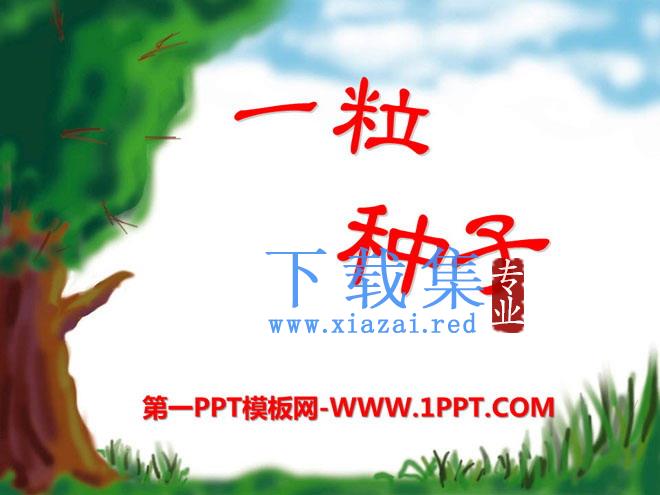 《一粒种子》PPT课件5