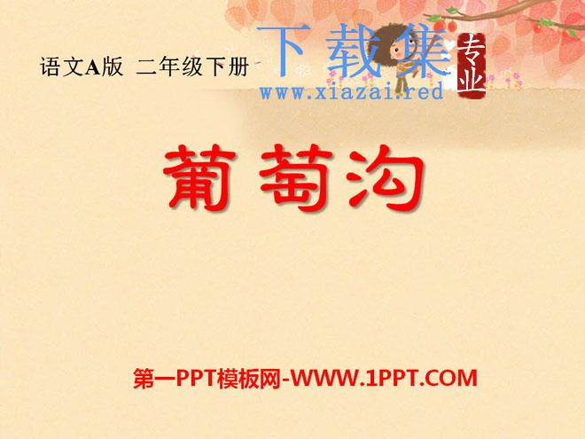 《葡萄沟》PPT课件12