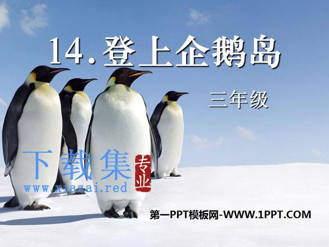 《登上企鹅岛》PPT课件4