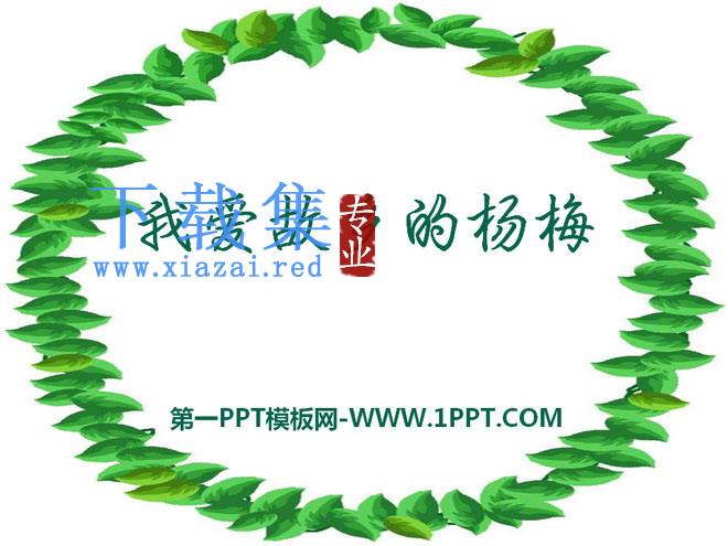 《我爱故乡的杨梅》PPT课件