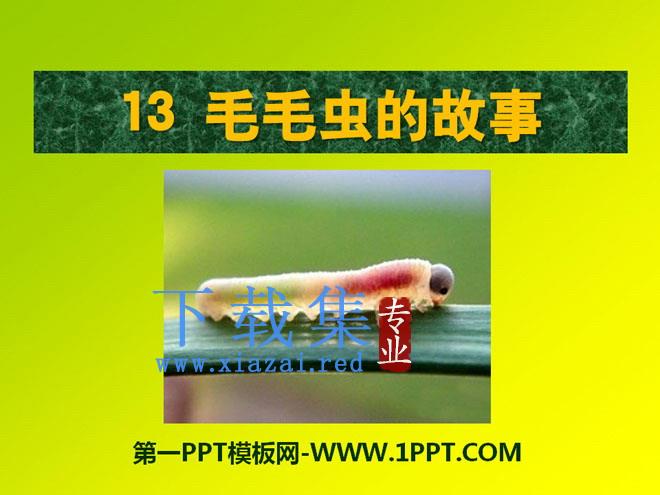 《毛毛虫的故事》PPT课件