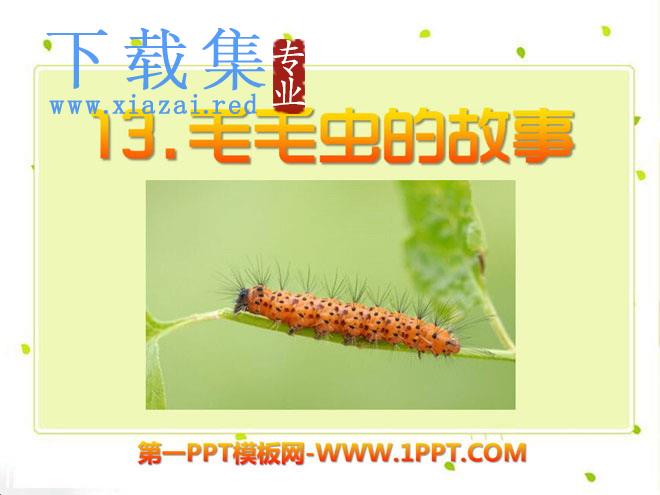 《毛毛虫的故事》PPT课件2