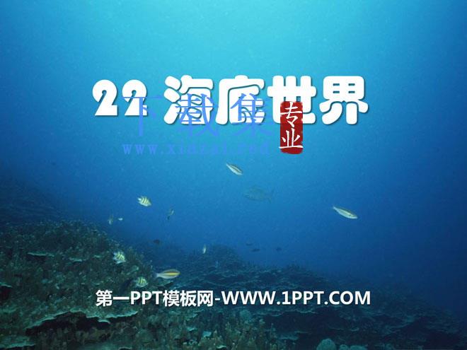 《海底世界》PPT课件7
