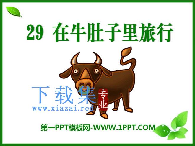 《在牛肚子里旅行》PPT课件
