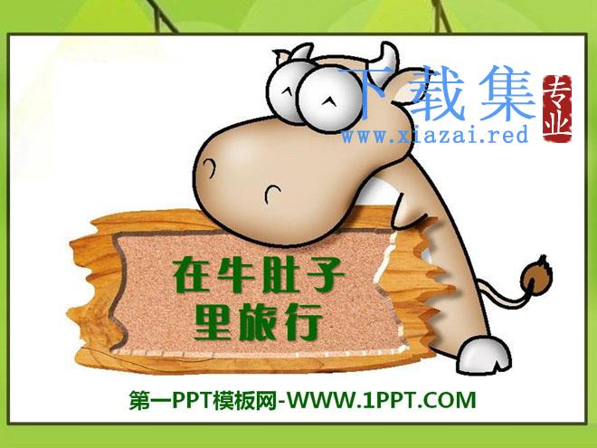 《在牛肚子里旅行》PPT课件2