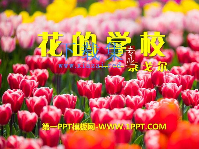 《花的学校》PPT课件3