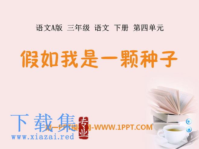 《假如我是一颗种子》PPT课件