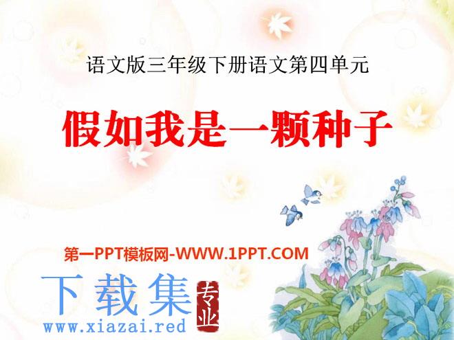 《假如我是一颗种子》PPT课件2