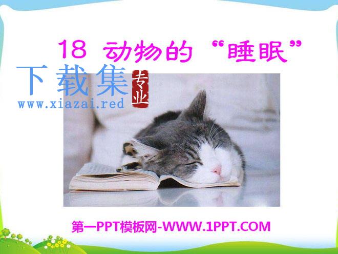 《动物的睡眠》PPT课件5