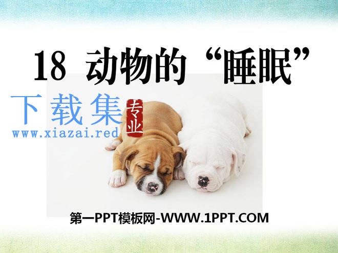 《动物的睡眠》PPT课件6