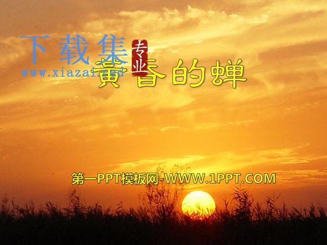 《黄昏的蝉》PPT课件
