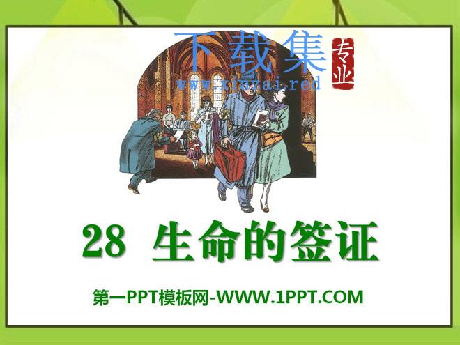 《生命的签证》PPT课件