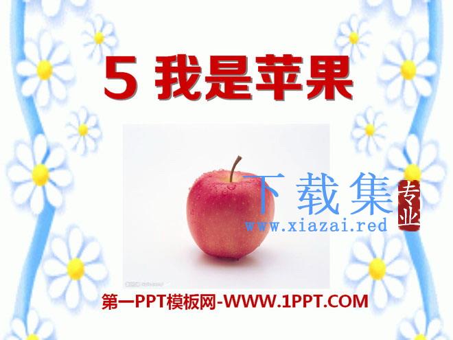 《我是苹果》PPT课件