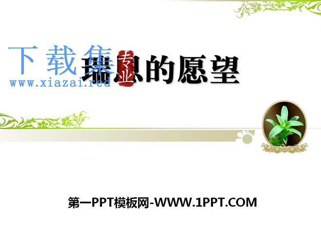 《瑞恩的愿望》PPT课件