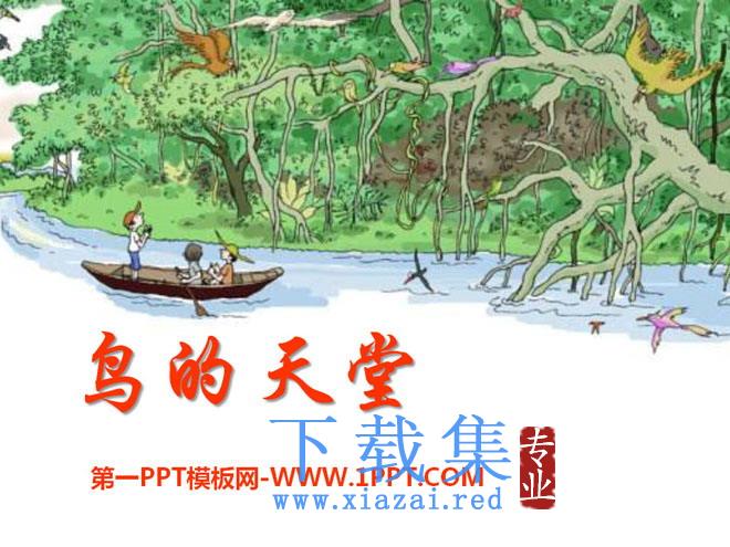 《鸟的天堂》PPT课件9