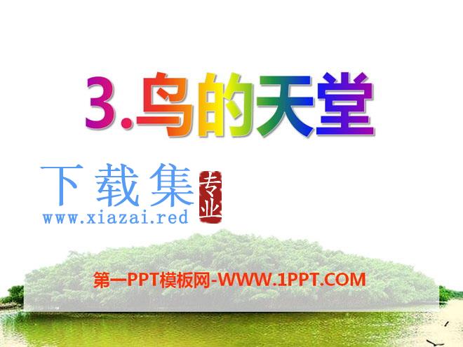 《鸟的天堂》PPT课件10