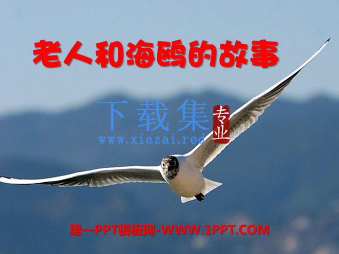 《老人和海鸥的故事》PPT课件2