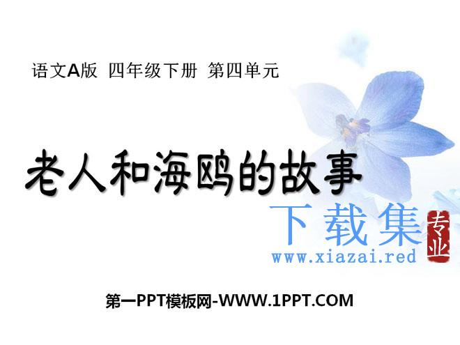 《老人和海鸥的故事》PPT课件4
