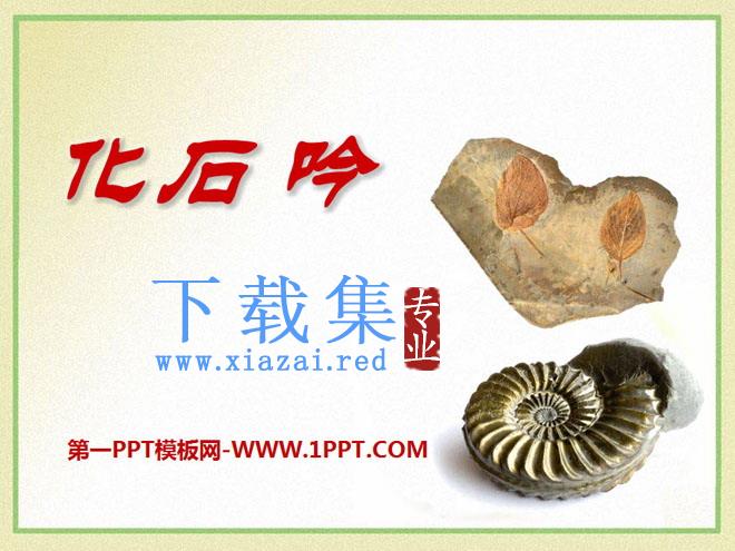 《化石吟》PPT课件6